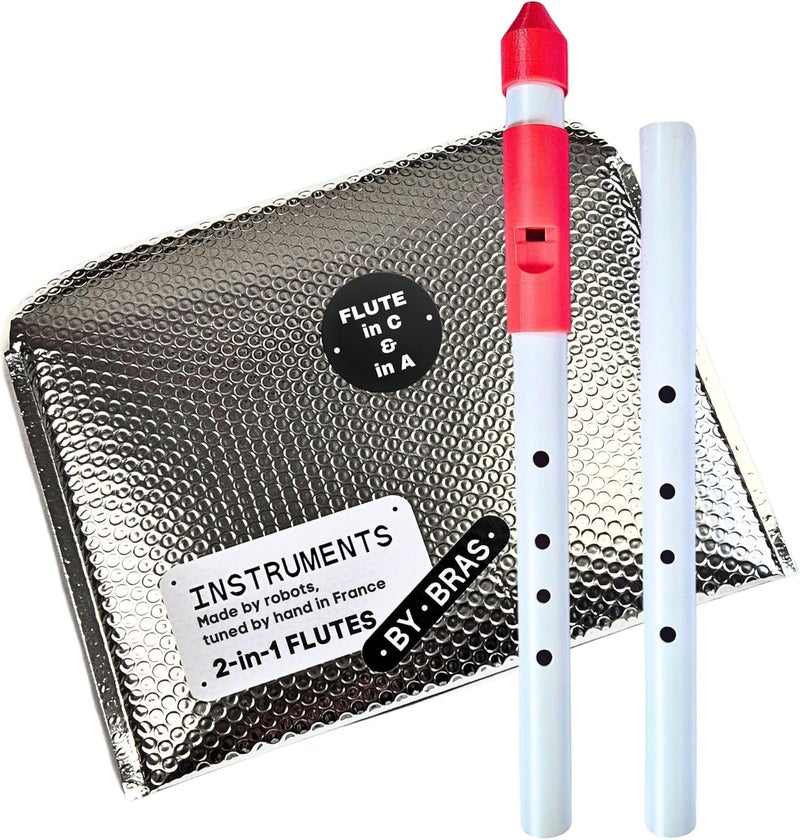 ICO Native American Flute by Instruments by Bras with Interchangeable Mouthpiece and Two Bodies in C and A for All Skill Levels, Flute Instrument Handcrafted in France - Image 1